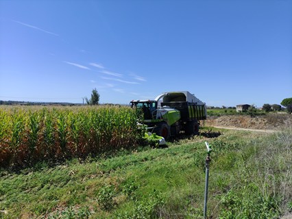 Foto3